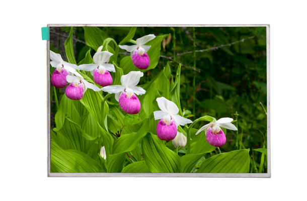 7.0寸工(gōng)業(yè)液晶屏